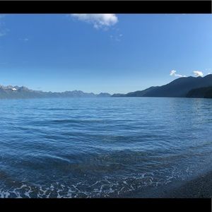 Meet your Posher, Trinity